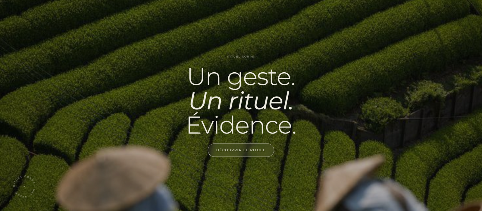 De boutique vide à marque chez qui on paye le prix